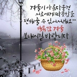 피드에 업로드 된 이미지
