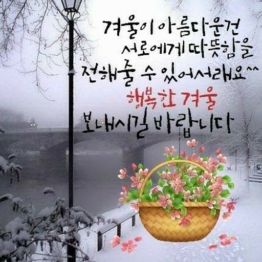 피드 이미지
