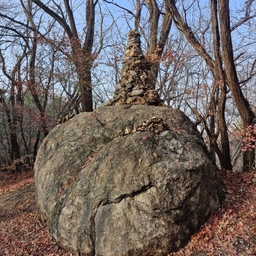 피드에 업로드 된 이미지