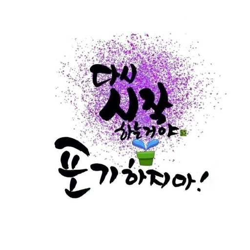 피드 이미지