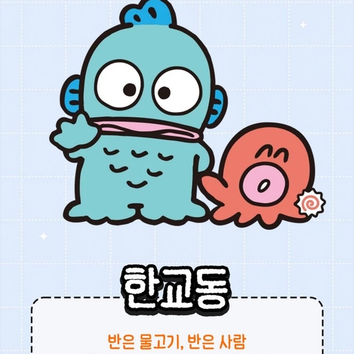 피드 이미지