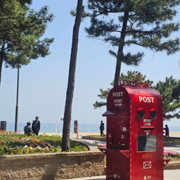 피드에 업로드 된 이미지