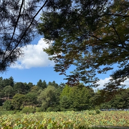피드에 업로드 된 이미지