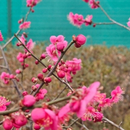 피드에 업로드 된 이미지