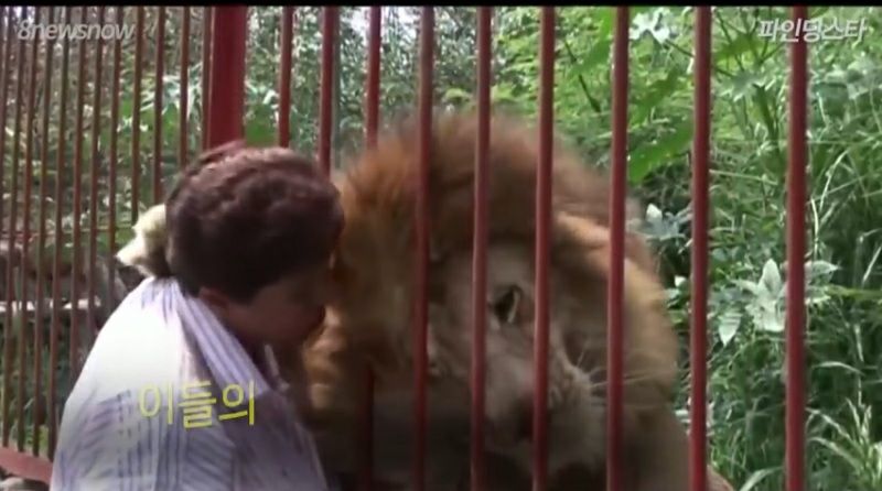 피드 이미지