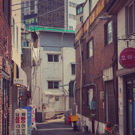 피드 이미지
