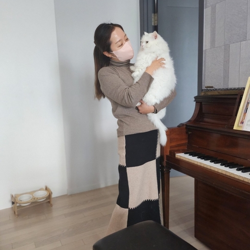 피드 이미지