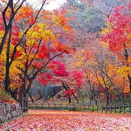 피드에 업로드 된 이미지