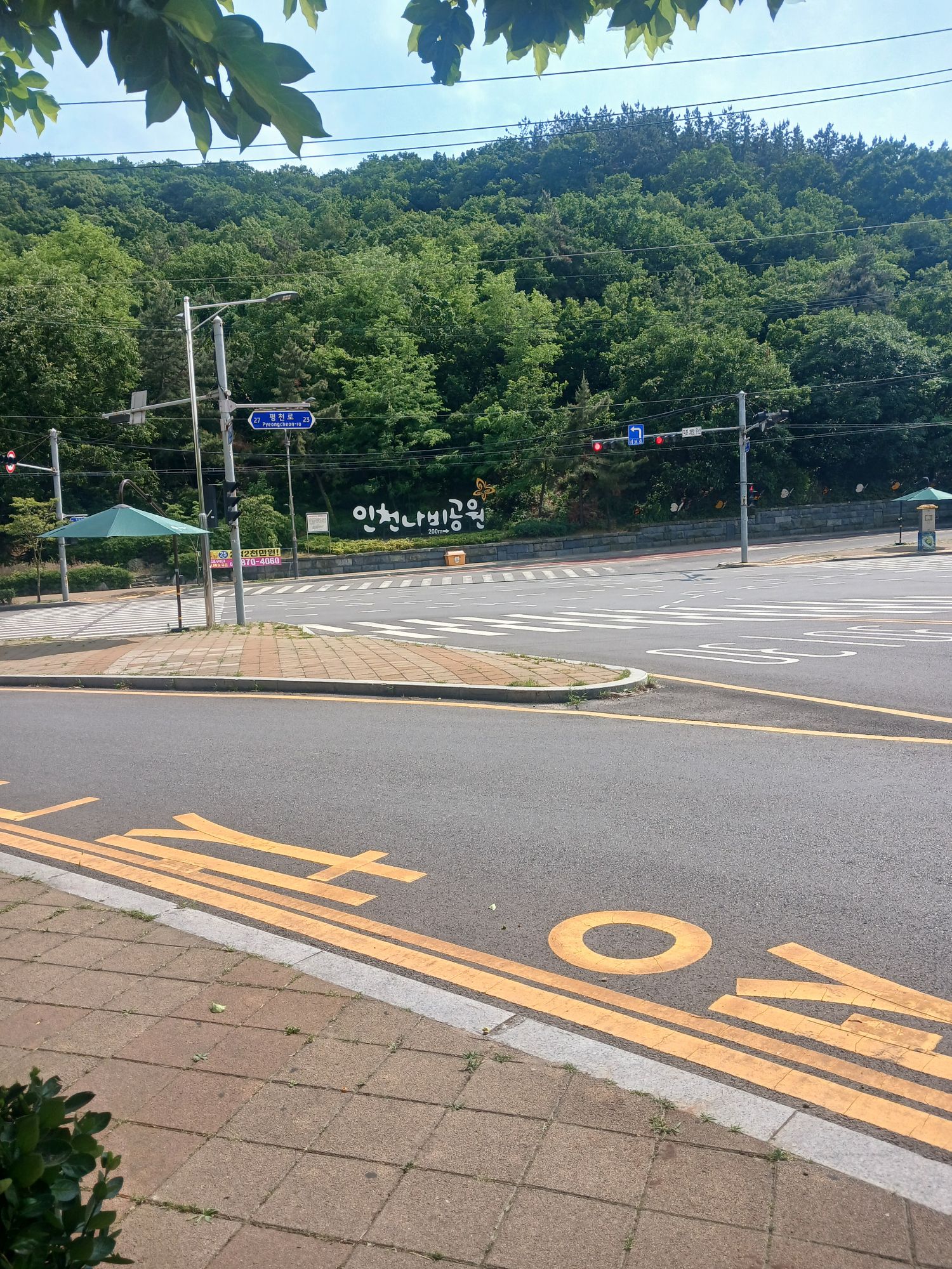 피드 이미지