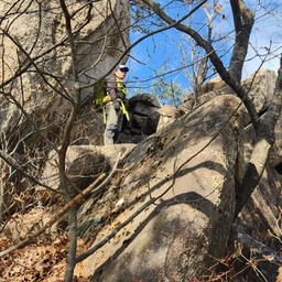 피드에 업로드 된 이미지