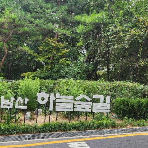 피드 이미지