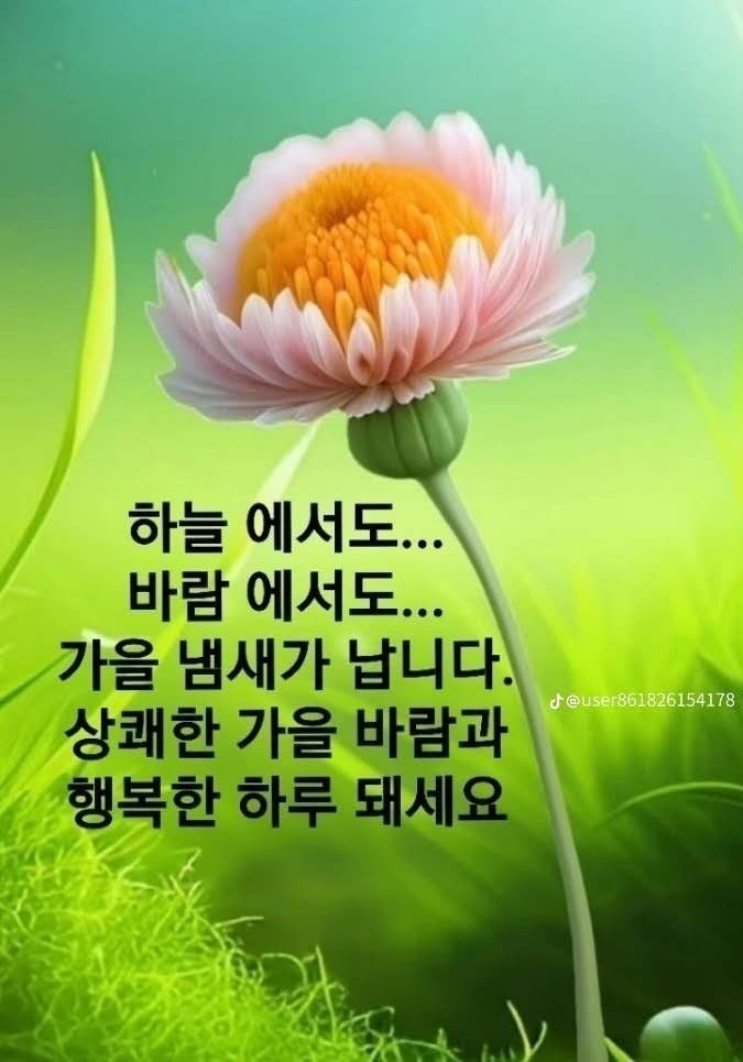 모임 이미지
