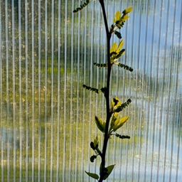 피드에 업로드 된 이미지