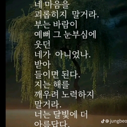 피드에 업로드 된 이미지