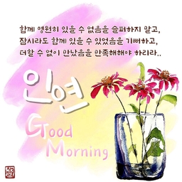 피드에 업로드 된 이미지