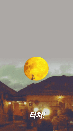 피드 이미지