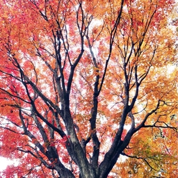 피드에 업로드 된 이미지