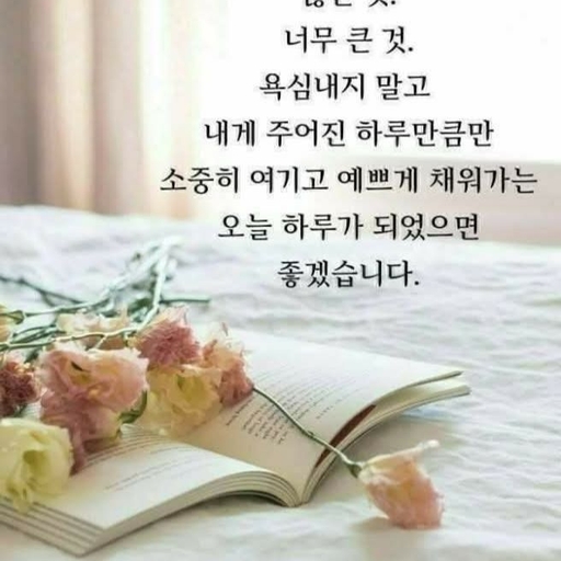 피드 이미지
