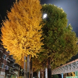 피드에 업로드 된 이미지