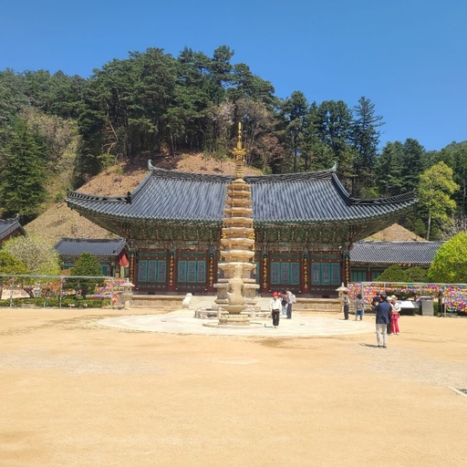 피드 이미지