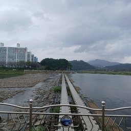 피드에 업로드 된 이미지