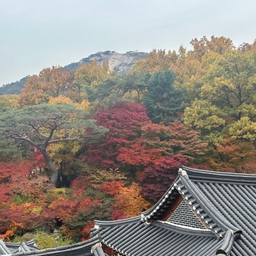 피드에 업로드 된 이미지