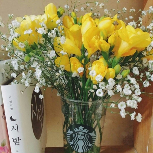 피드 이미지