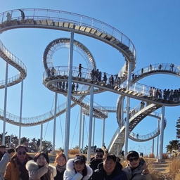 피드에 업로드 된 이미지