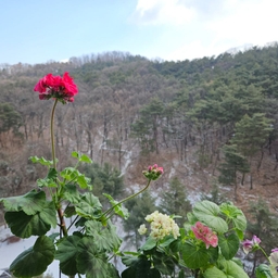 피드에 업로드 된 이미지