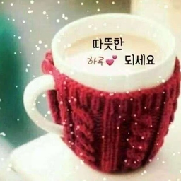 피드에 업로드 된 이미지