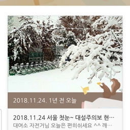 피드에 업로드 된 이미지