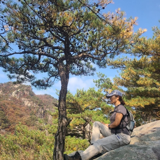 피드 이미지