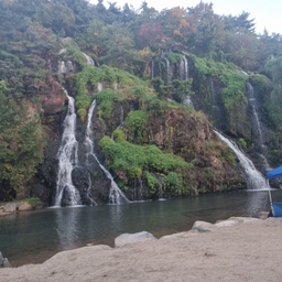 피드에 업로드 된 이미지