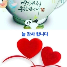 피드에 업로드 된 이미지