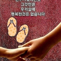 피드에 업로드 된 이미지