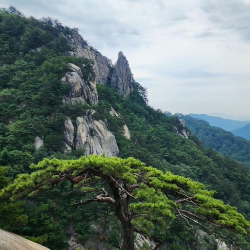 피드 이미지