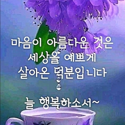 피드에 업로드 된 이미지