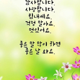 피드에 업로드 된 이미지