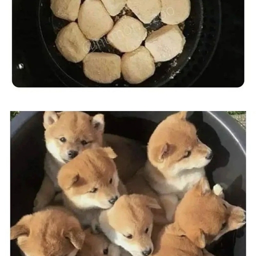 피드 이미지