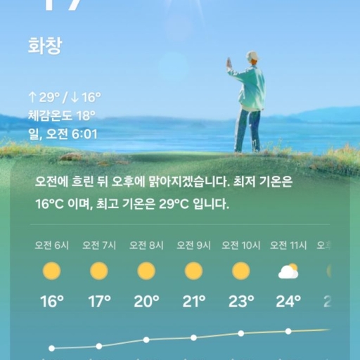 피드 이미지