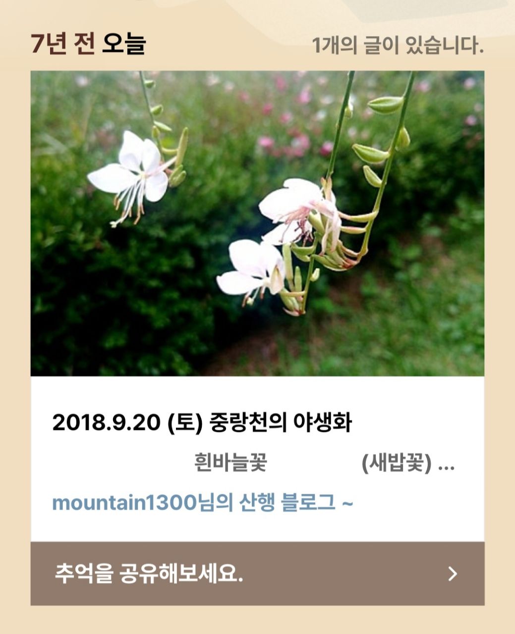 피드 이미지