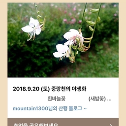 피드에 업로드 된 이미지