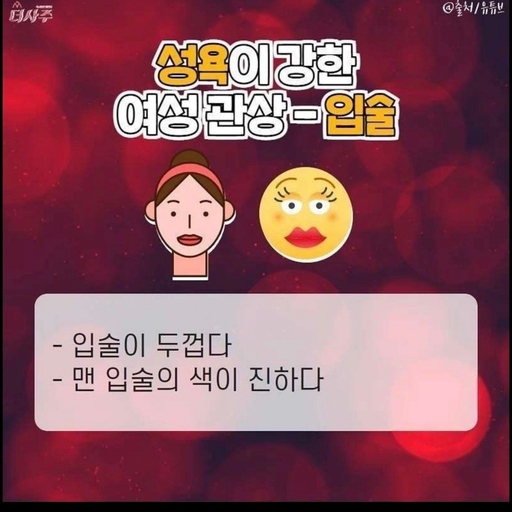피드 이미지