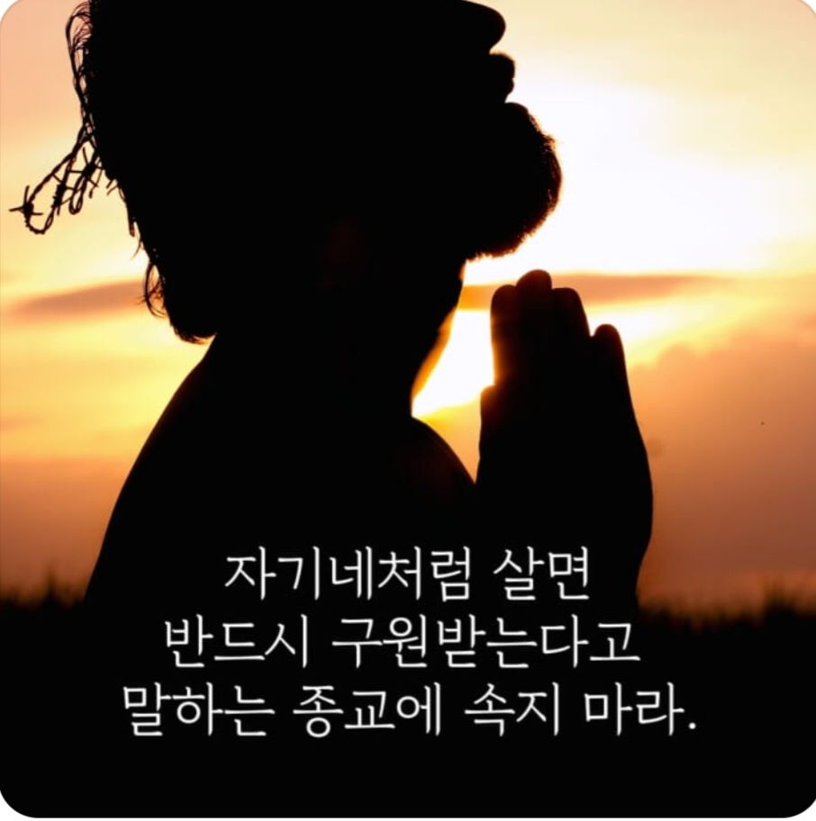 피드 이미지