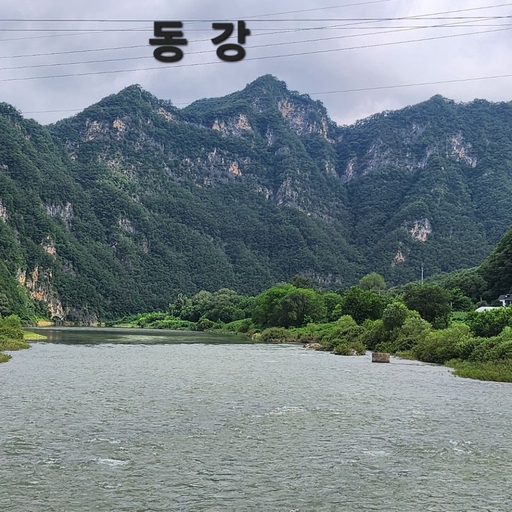 피드 이미지