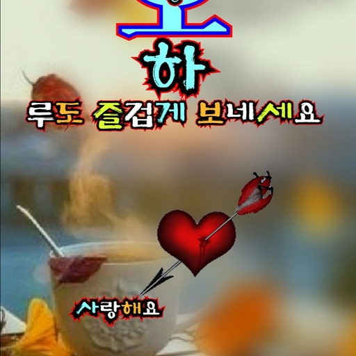 피드 이미지