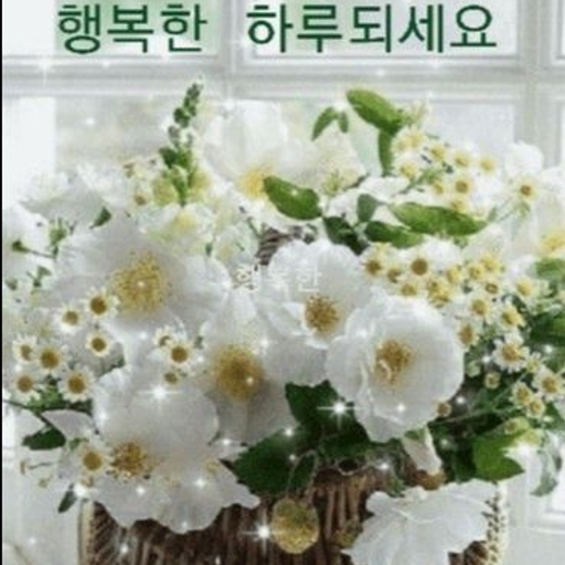 피드 이미지