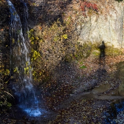 피드에 업로드 된 이미지