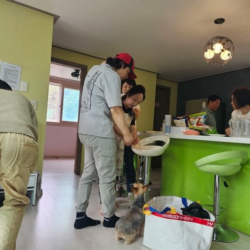 피드 이미지