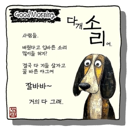 피드에 업로드 된 이미지